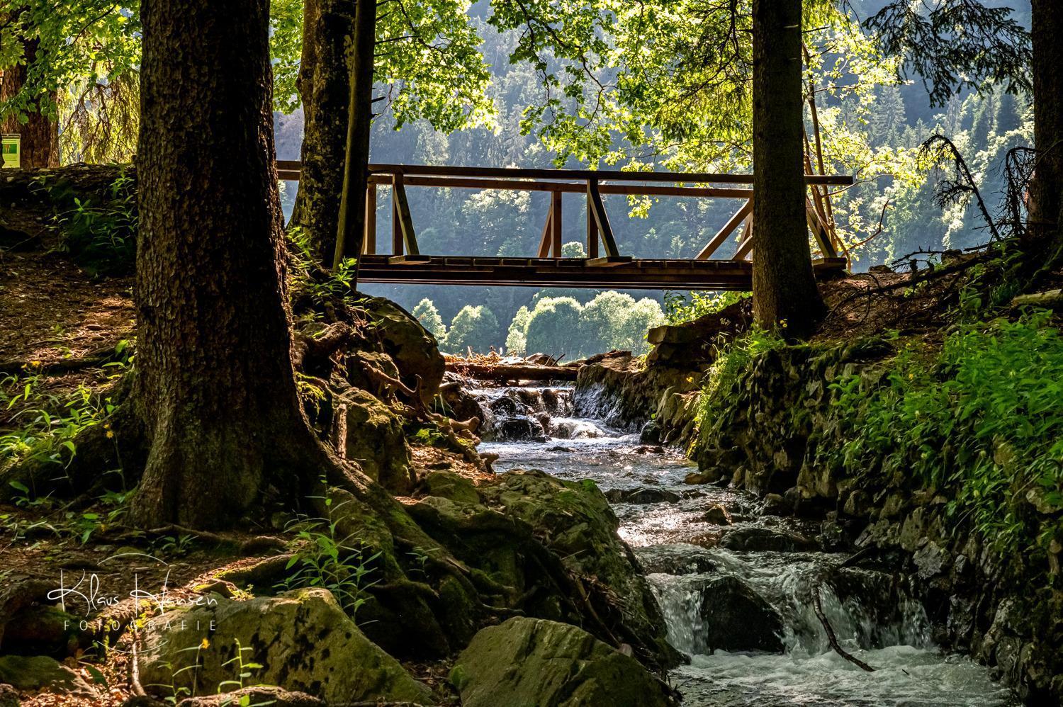 Haus Koenige Hinterzarten Εξωτερικό φωτογραφία